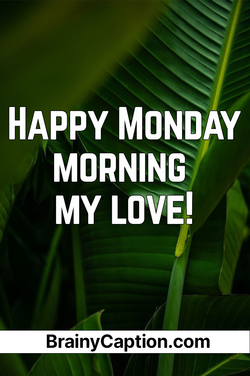Happy Monday morning my love. - Brainy Caption