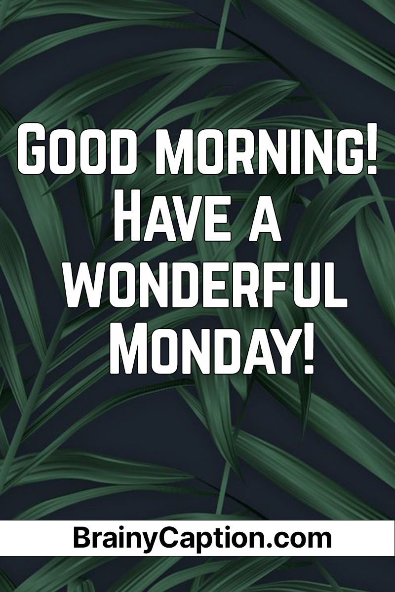 Good Morning! Have a wonderful Monday! - Brainy Caption