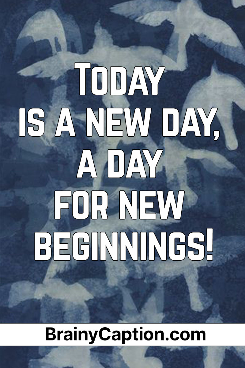 Today is a new day, a day for new beginnings. - Brainy Caption