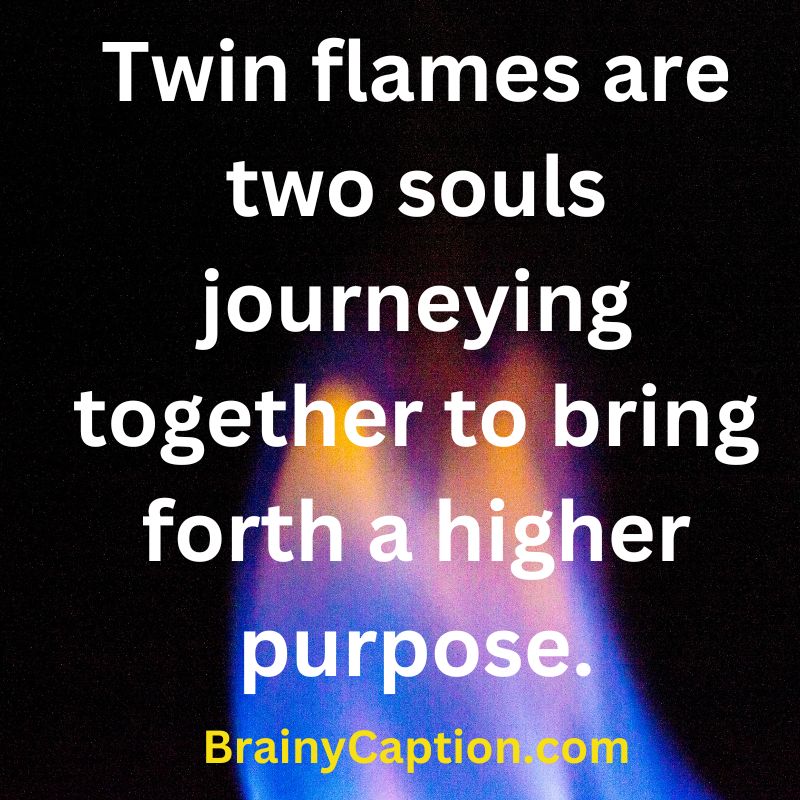 Quote - Twin flames are two souls journeying together to bring forth a higher purpose.