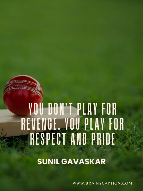 Aggressive Cricket Quotes- You don't play for revenge. You play for respect and pride.