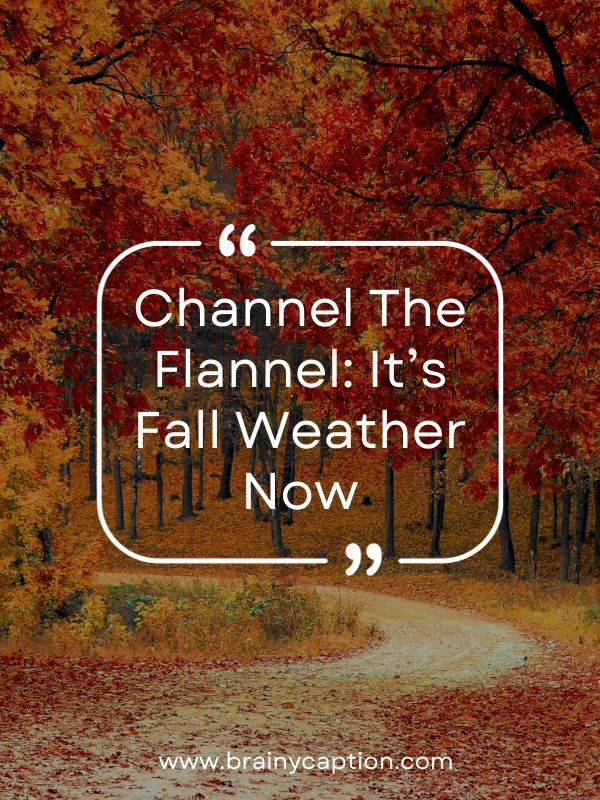 Autumn Instagram Captions- Channel the flannel: it’s fall weather now!