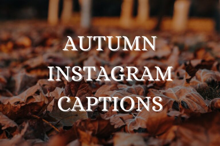 Captivating Autumn Instagram Captions To Elevate Your Fall Photo