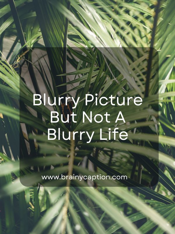Blur Picture Captions & Quotes- Blurry picture but not a blurry life.