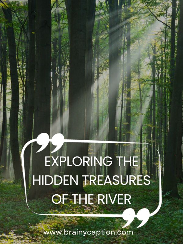 Creative And Witty Forest Captions- Exploring the hidden treasures of the river.