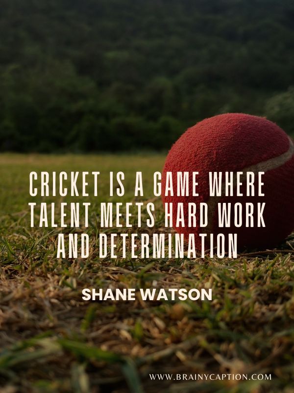 Cricket Lover Quotes- Cricket is a game where talent meets hard work and determination