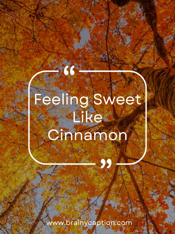 Cute Fall Captions- Feeling sweet like cinnamon.