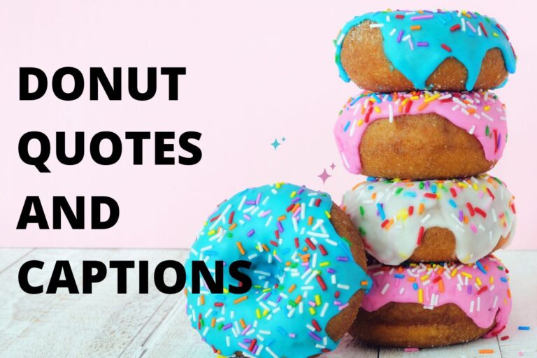 Delightful Donut Quotes And Captions For Sweet Moments