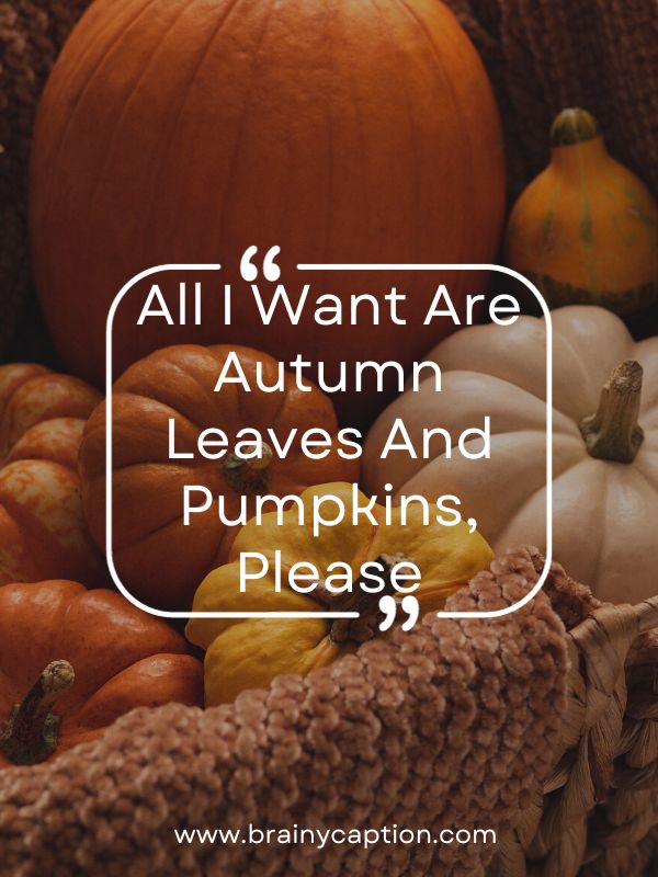 Fall Activity Photo Captions- All I want are autumn leaves and pumpkins, please.