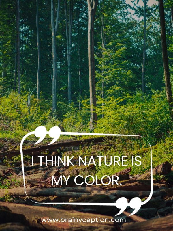 Forest Quotes And Captions- I think nature is my color.