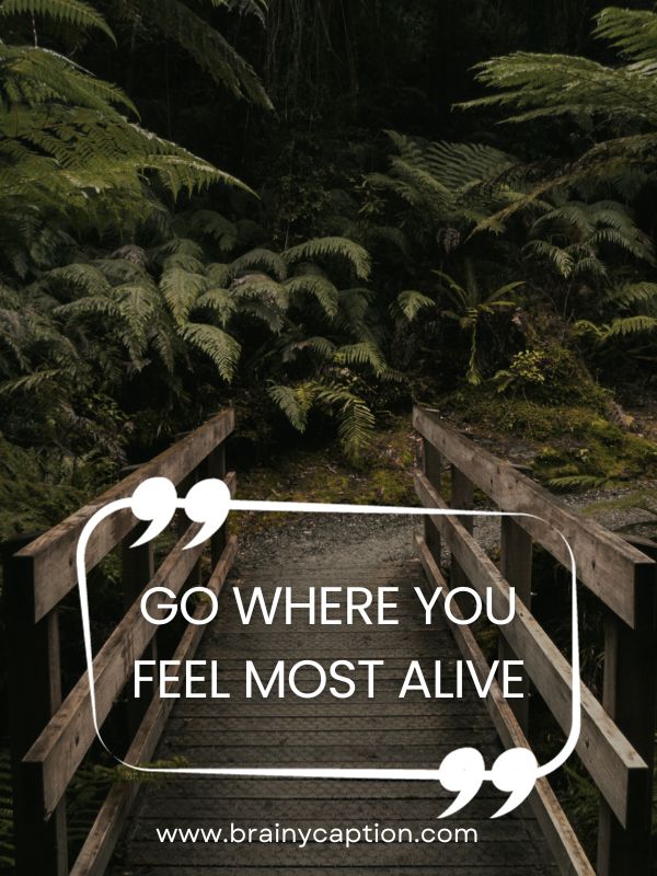 Forest Quotes For Instagram- Go where you feel most alive.