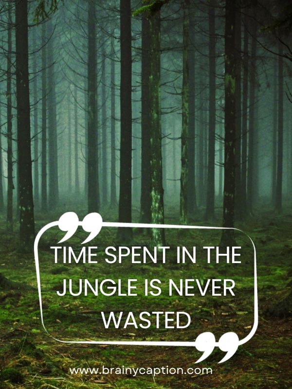 Funny Forest Captions For Instagram- Time spent in the jungle is never wasted.