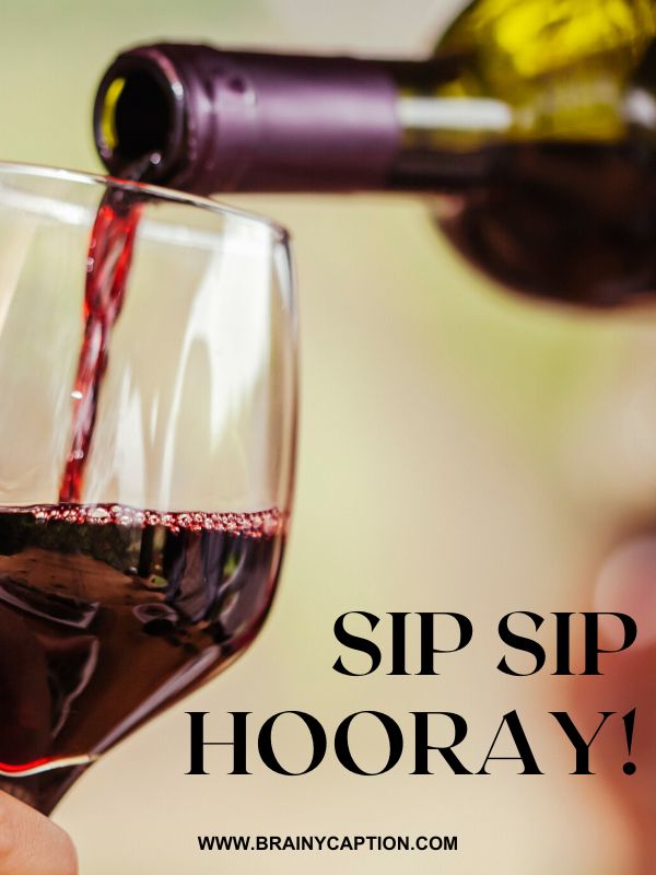 Funny Wine Captions- Sip sip hooray!