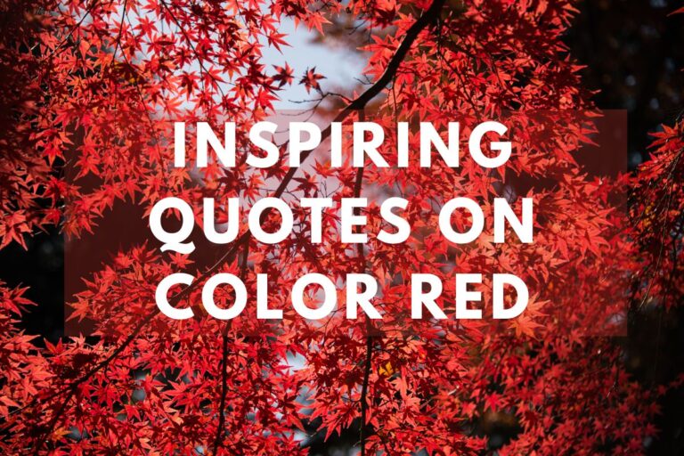 Exploring The Power And Passion: Inspiring Quotes On Color Red
