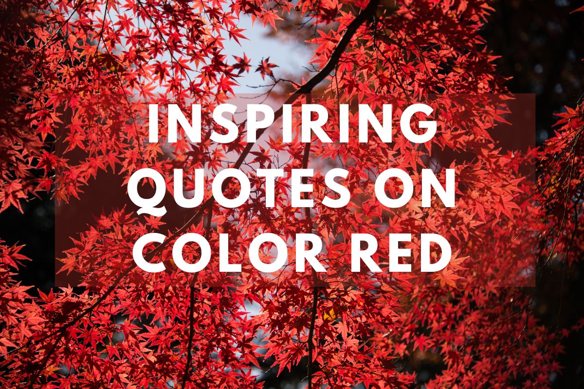 Inspiring Quotes On Color Red