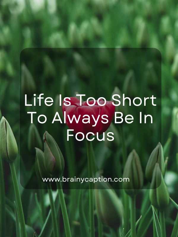 Instagram Captions For Blurry Pictures- Life is too short to always be in focus.