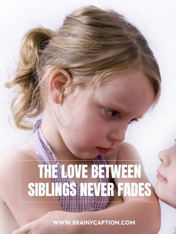 More Sibling Quotes and Captions- The love between siblings never fades