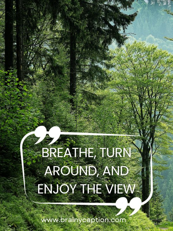 Most Breathtaking Nature Quotes- Breathe, turn around, and enjoy the view.
