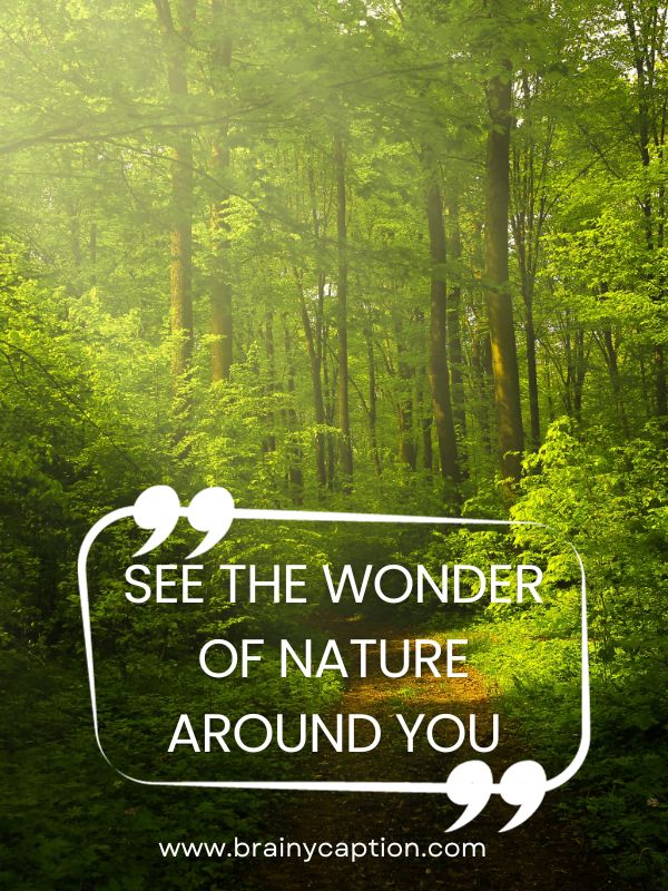 Nature Captions For Instagram- See the wonder of nature around you.