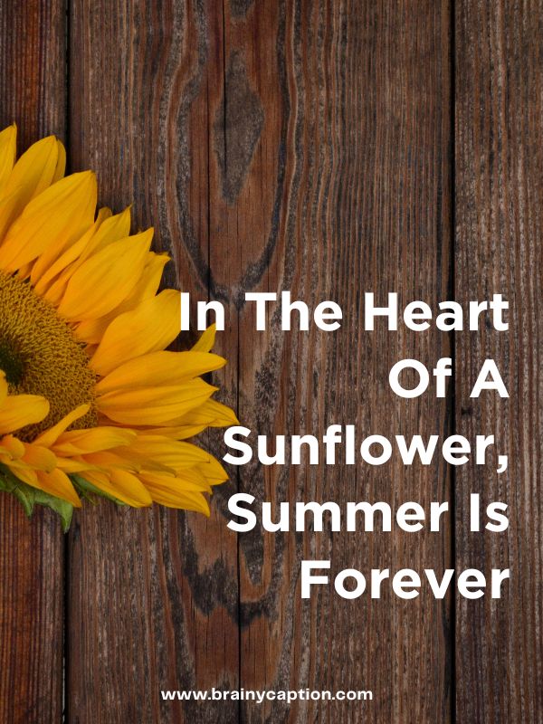 Sunflower Quotes For Instagram- In the heart of a sunflower, summer is forever.