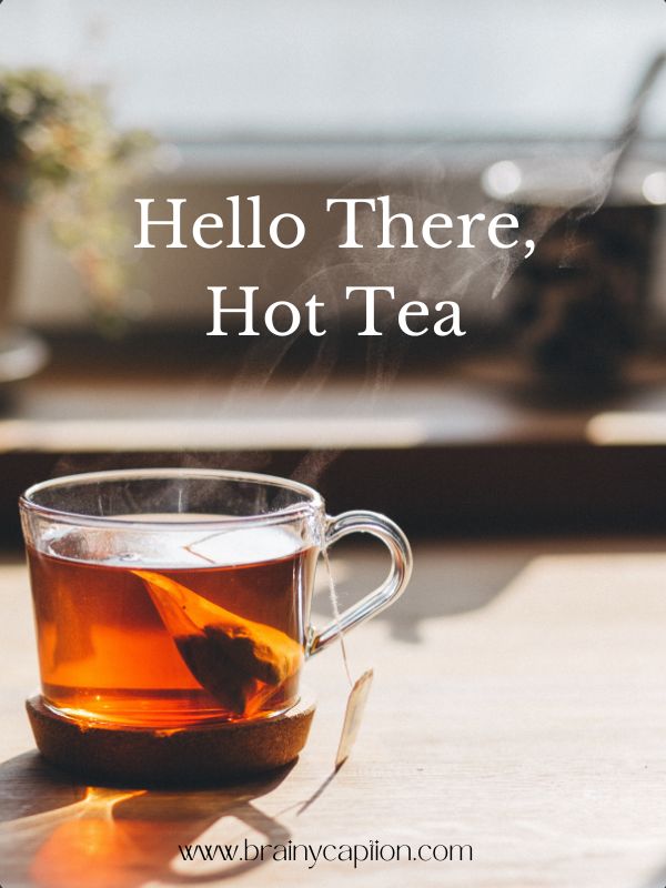 Tea Quotes And Captions- Hello there, hot tea.