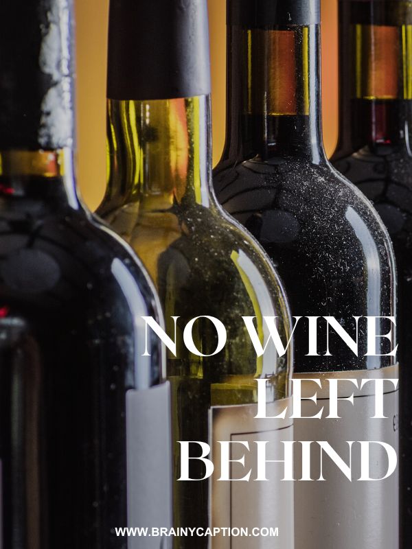 Wine Puns For Captions- No wine left behind.