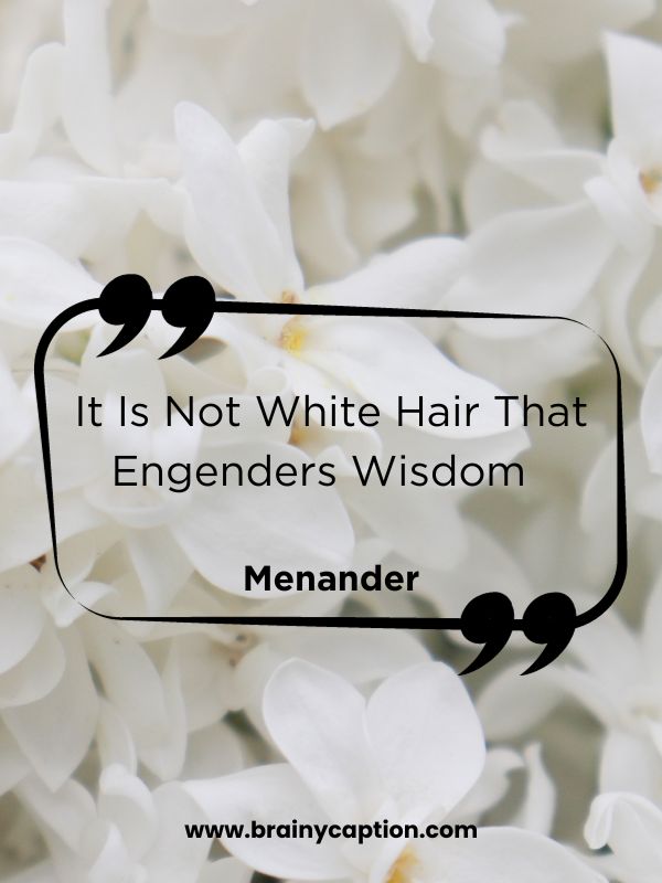 Best White Quotes & Sayings- It Is Not White Hair That Engenders Wisdom 