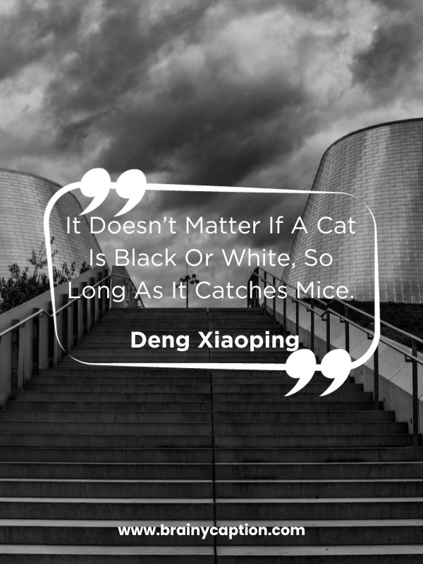 Black Quotes About Life- It Doesn’t Matter If A Cat Is Black Or White, So Long As It Catches Mice. 