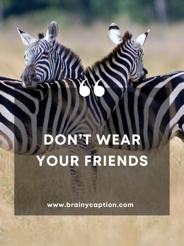Collection Of International Zebra Day Quotes- Don’t wear your friends
