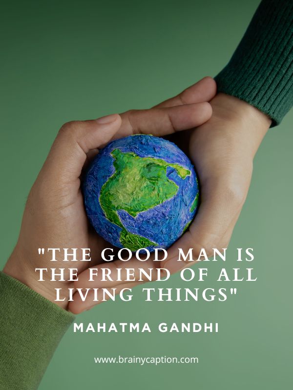 Earth Rotations Day Quotes- The Good Man Is The Friend Of All Living Things
