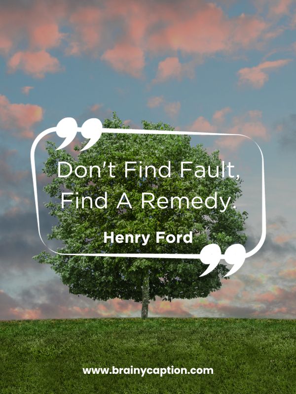 Green Quotes About The Color And Environment- Don't Find Fault, Find A Remedy.