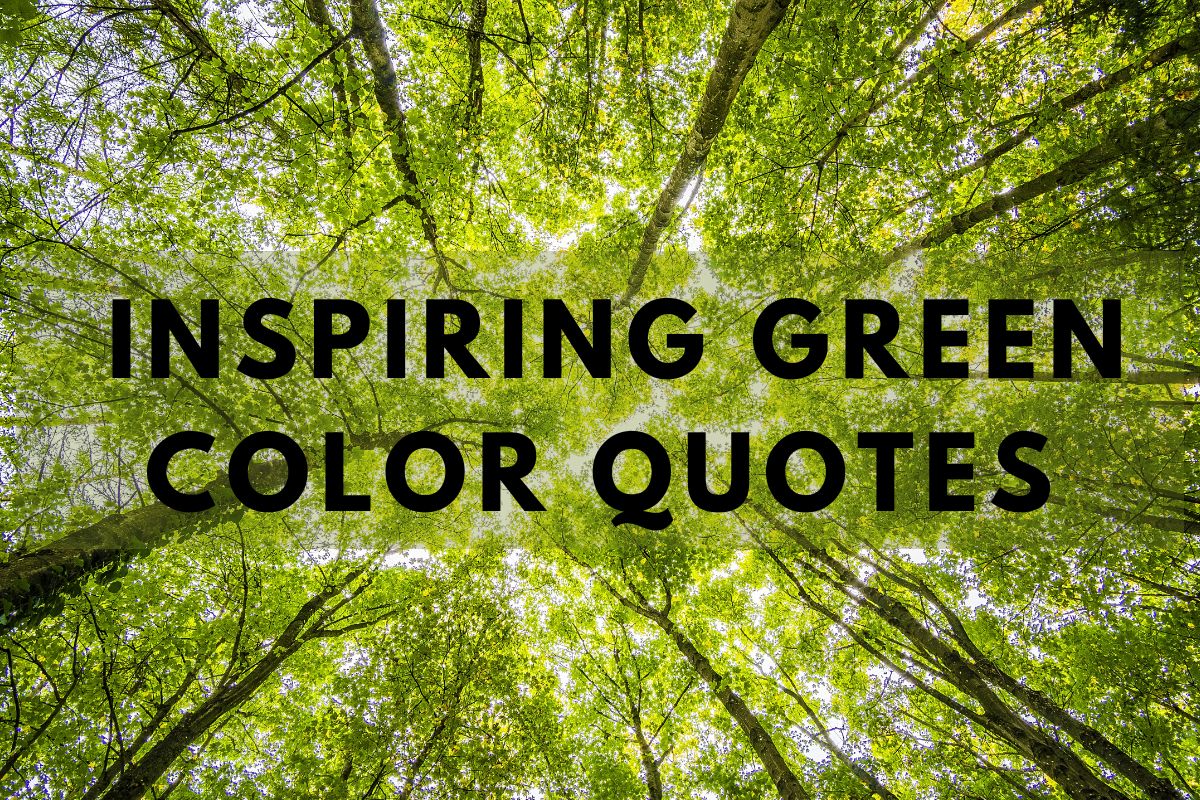 Inspiring Green Color Quotes