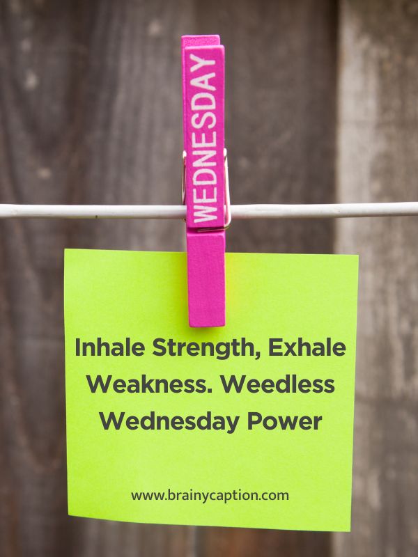 Latest Weedless Wednesday Quotes- Inhale Strength, Exhale Weakness. Weedless Wednesday Power