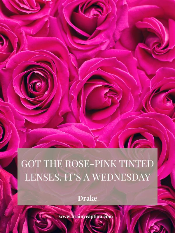 More Quotes About Color Pink- Got the rose-pink tinted lenses. It’s a Wednesday