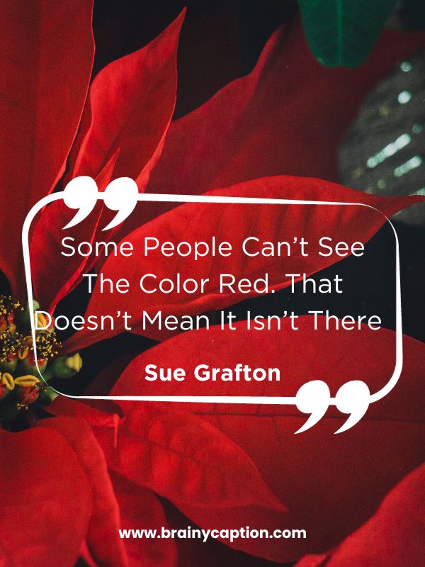 Passionate Red Quotes- Some People Can’t See The Color Red. That Doesn’t Mean It Isn’t There 