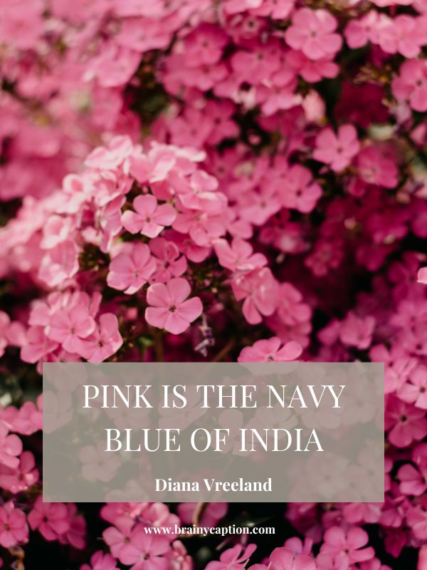 Pink Quotes Just As Perfect As The Color Itself- Pink is the navy blue of India