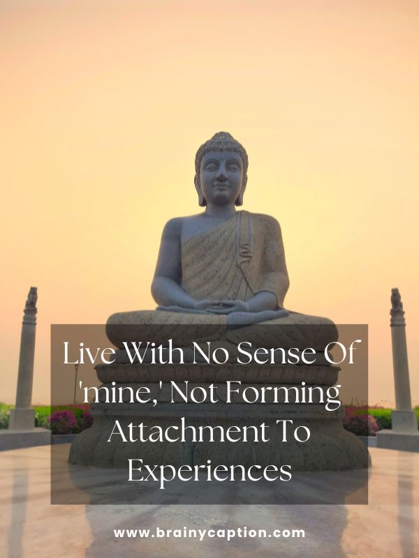 Quotes Inspired By Buddha And Buddhism- Live With No Sense Of 'mine,' Not Forming Attachment To Experiences