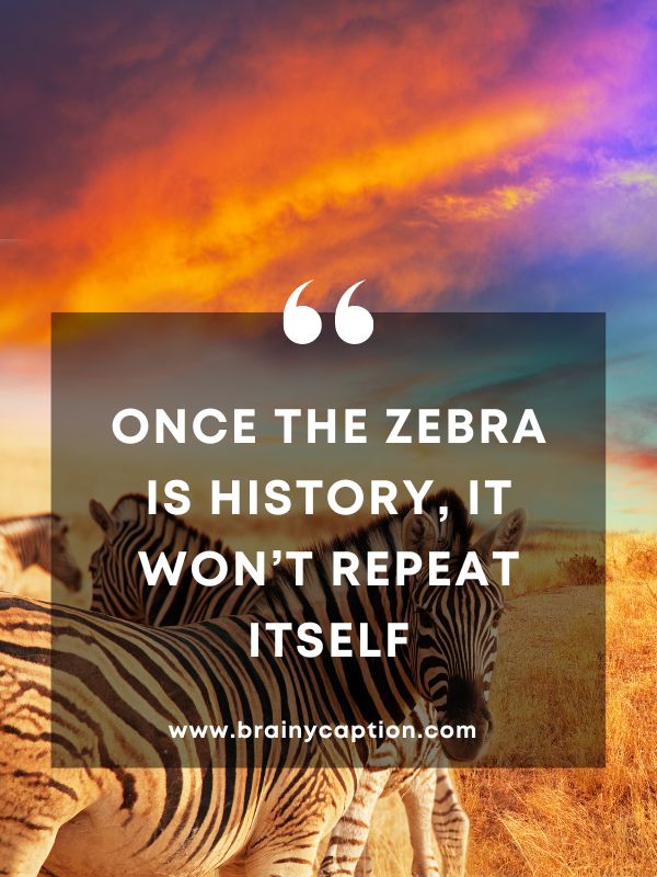 Quotes that Illuminate The Zebra Global Celebration- Once the zebra is history, it won’t repeat itself