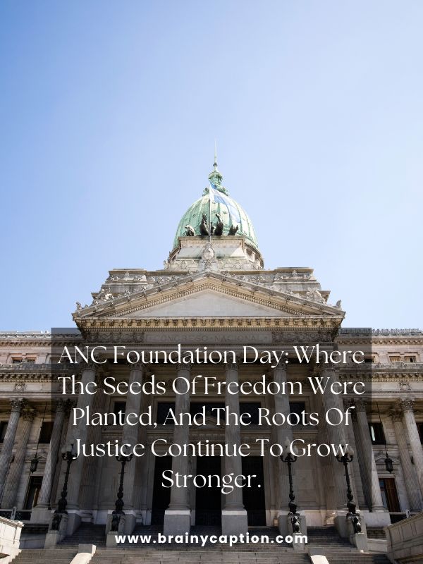Unity In Diversity: ANC's Enduring Vision- ANC Foundation Day: where the seeds of freedom were planted, and the roots of justice continue to grow stronger.