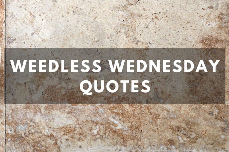 Inspiring Weedless Wednesday Quotes For A Happy Midweek
