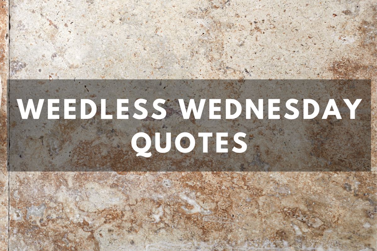 Weedless Wednesday Quotes