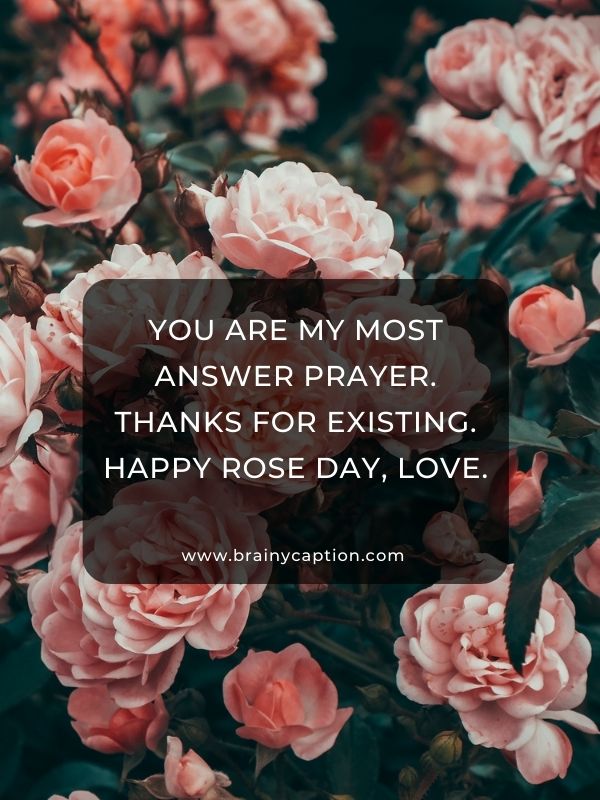 Happy Rose Day My Love- You are my most answer prayer. Thanks for existing. Happy rose day, love.