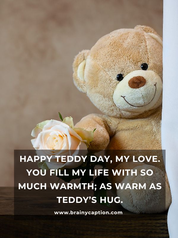 Happy Teddy Day My Love- Happy Teddy day, my love. You fill my life with so much warmth; as warm as teddy’s hug.