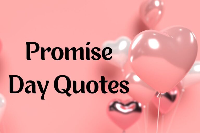100 Promise Day Quotes For Your Loved One