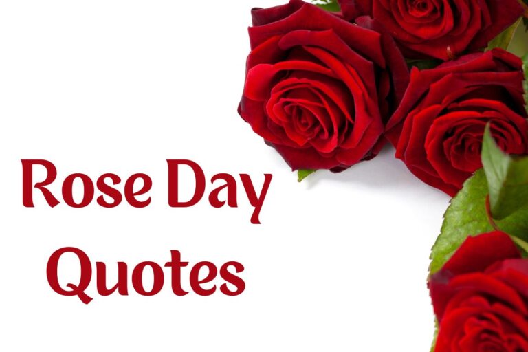 100 Rose Day Quotes To Capture The Romantic Spirit