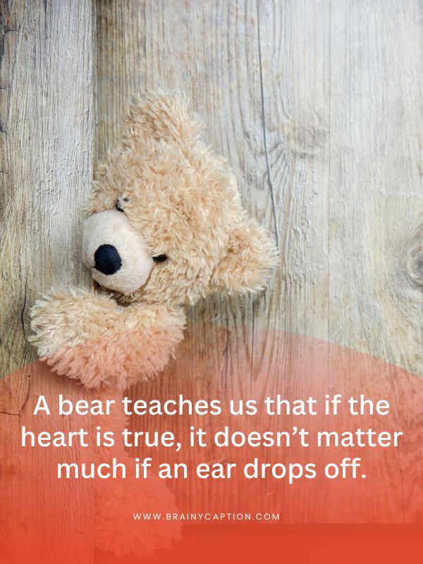 Teddy Day Quotes- A bear teaches us that if the heart is true, it doesn’t matter much if an ear drops off.