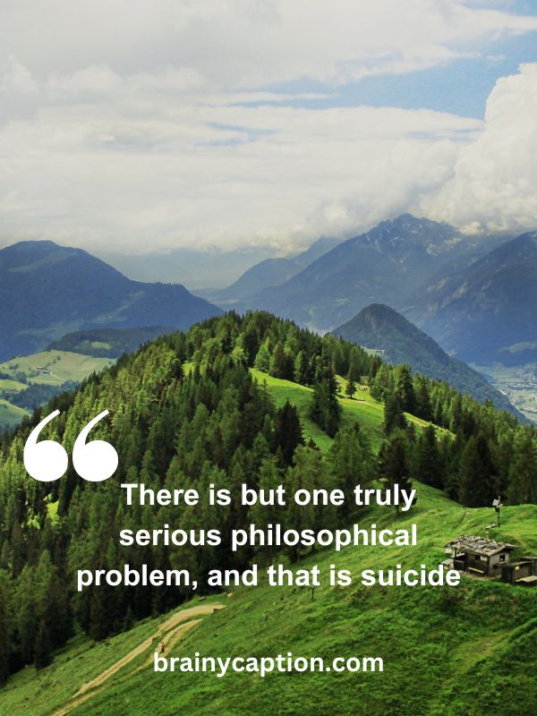 Some Famous Philosophical Quotes- There is but one truly serious philosophical problem, and that is suicide.